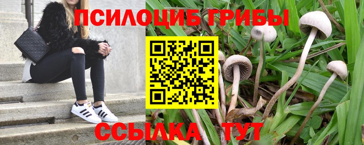 Скопин  Псилоцибиновые грибы ЛСД  Вход с VPN  Галлюциногенные грибы мухоморы 